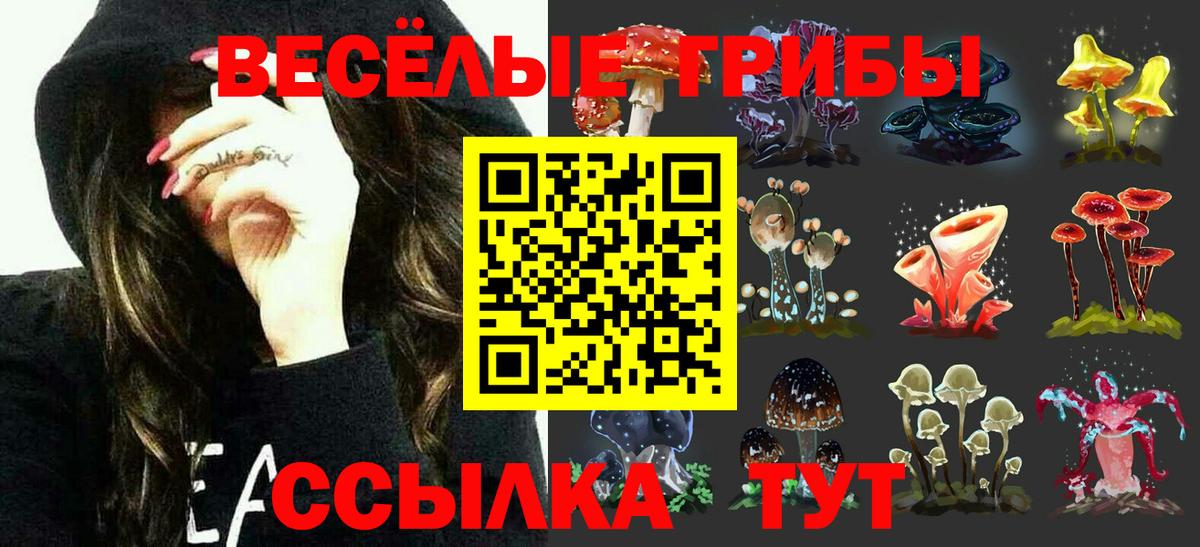 Назарово  Псилоцибиновые грибы мухоморы  Галлюциногенные грибы прущие грибы  купить наркотики сайты  Вход с VPN 